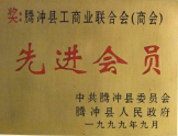 1999年被被授予“先進會員”